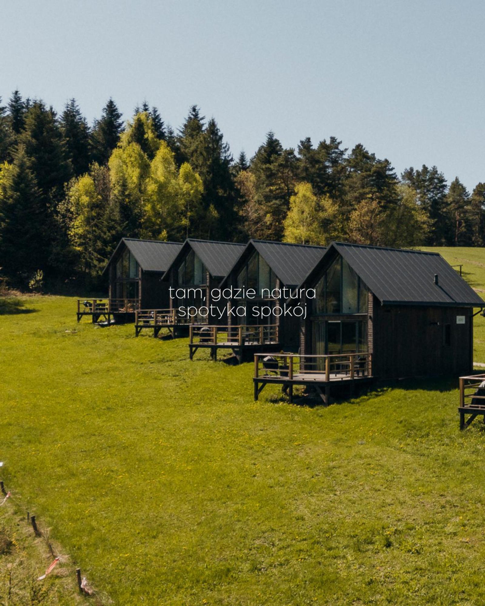 Polana Piorun Domki Wakacyjne W Beskidach Krynica Zdroj Eksteriør bilde